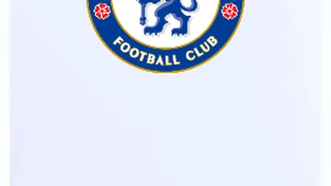 珠海航展迎来大湾区首条低空快线乘客，畅享飞行盛宴